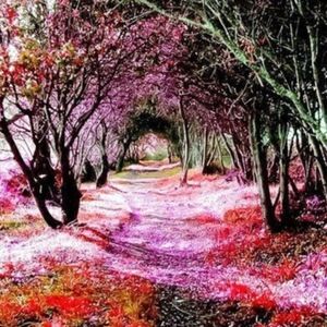 Meet your Posher, Monica jill